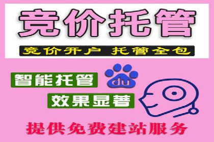 经典案例：SEM代运营服务公司的成功之路